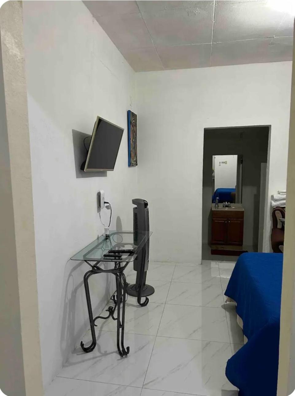 The Grayden Studio Kingston Dış mekan fotoğraf